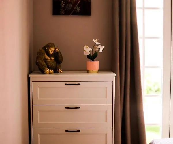 Palma Canarias Costa Adeje (Tenerife)