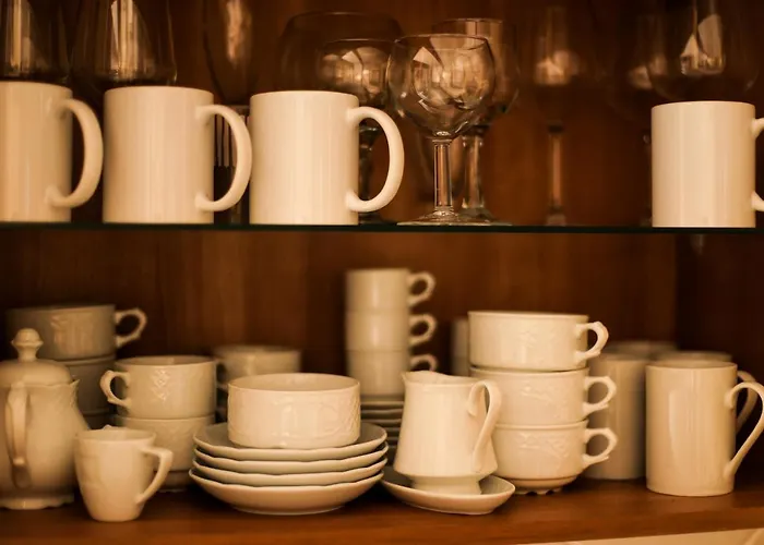 Palma Canarias أذيخي