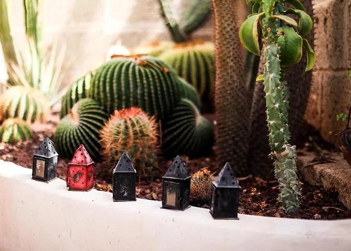 Palma Canarias * Costa Adeje (Tenerife)